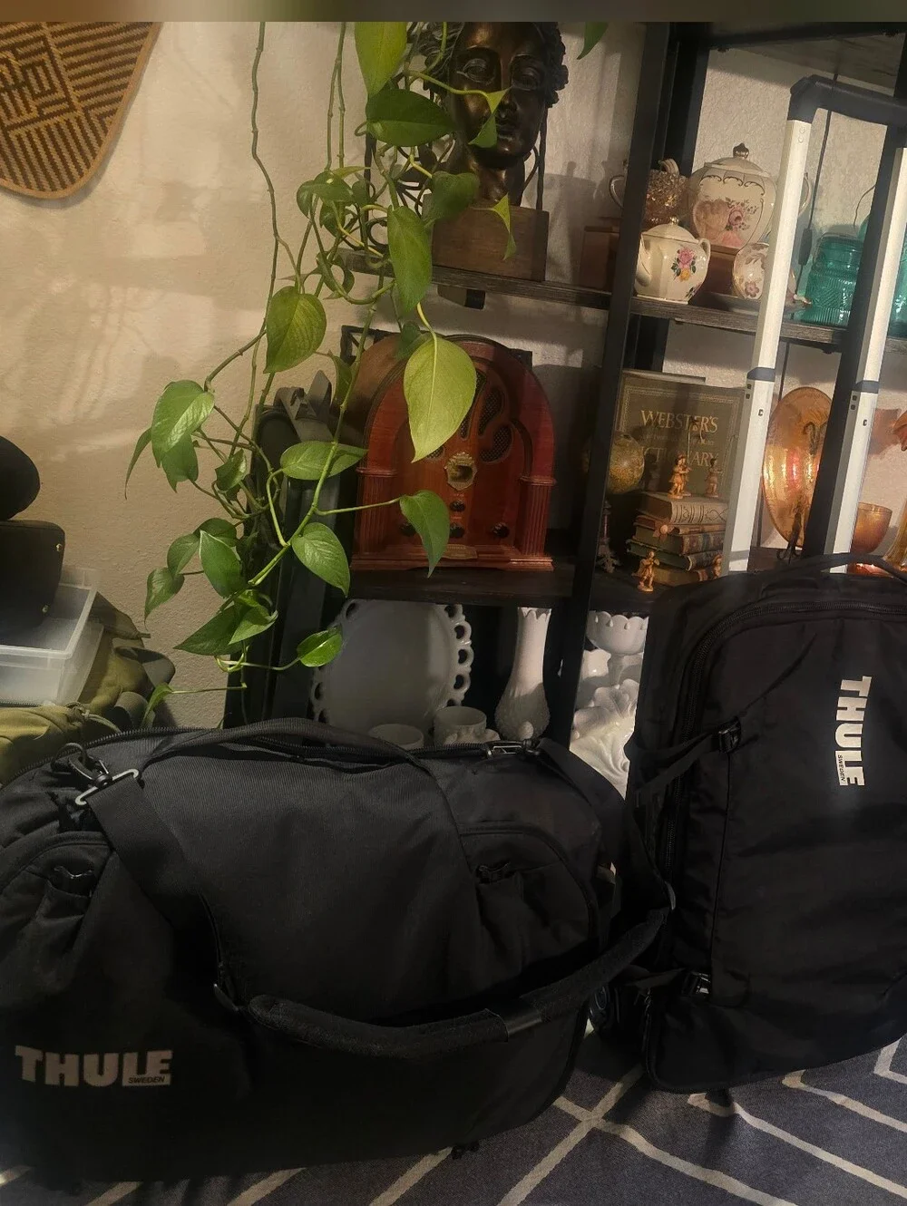 Thule Subterra wheeled duffel bag 55cm/22